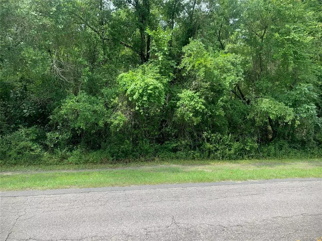 Webster, FL 33597,CR 656