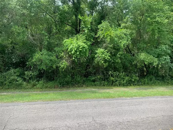 CR 656, Webster, FL 33597