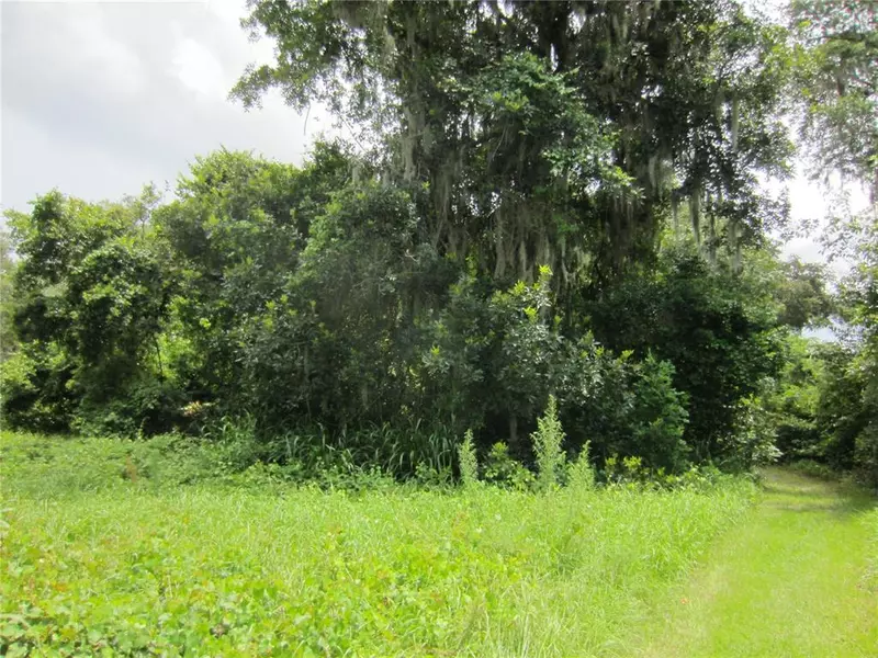 TBD SE 152ND PL, Summerfield, FL 34491