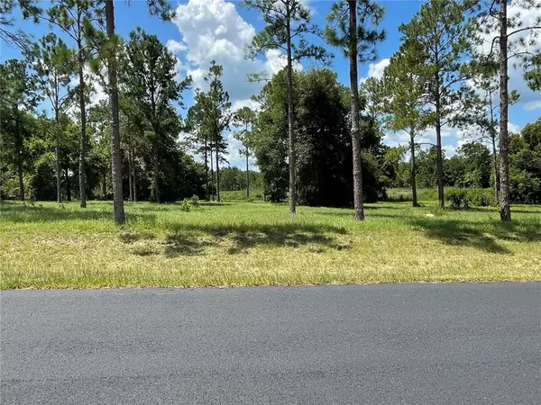 Groveland, FL 34736,BONSMARA DR #23