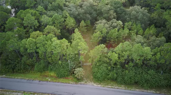 1020 LAKE HARNEY WOODS BLVD, Mims, FL 32754