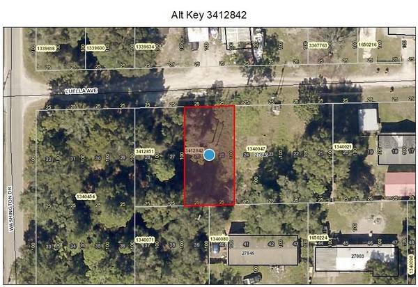 Lot 25 & 26 LUELLA AVE, Paisley, FL 32767