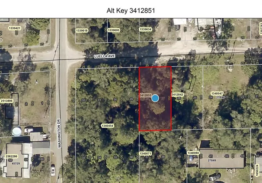 Lot 27 & 28 LUELLA AVE, Paisley, FL 32767