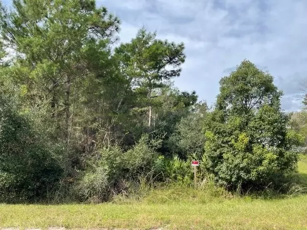 Eustis, FL 32736,CHINABERRY ST