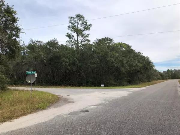 490 FISHER WAY, Ocklawaha, FL 32183