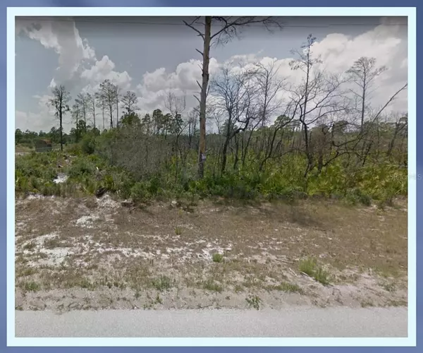 Frostproof, FL 33843,00 WOODSTORK WAY