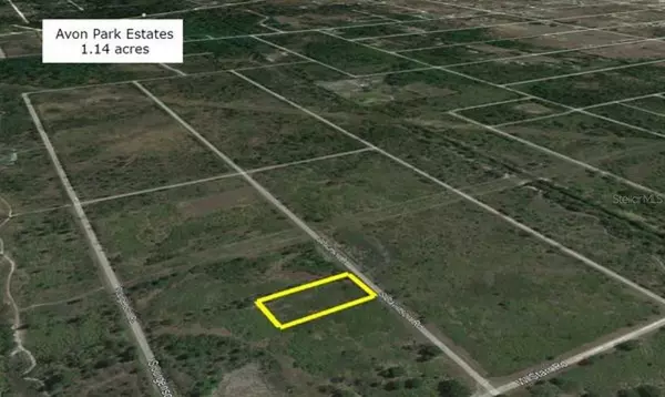 1412 DAVIDSON RD, Avon Park, FL 33825