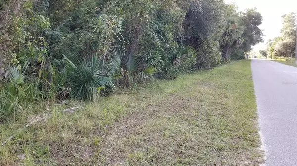 Geneva, FL 32732,COCHRAN RD