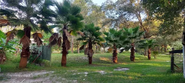 2648 SW 112TH RD, Webster, FL 33597