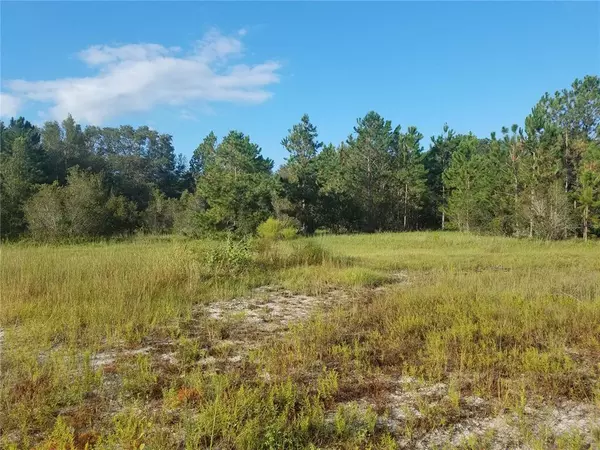 Eustis, FL 32736,TREE FROG LN #lot 6