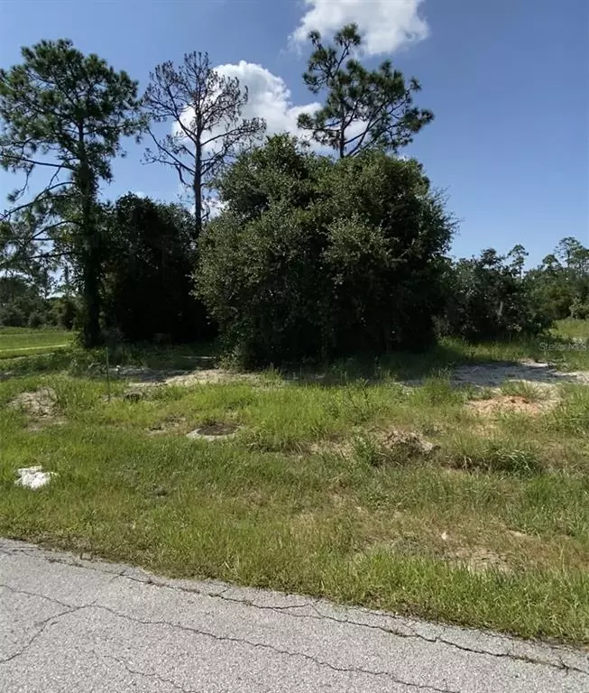 Poinciana, FL 34759,1243 AMAZON LN