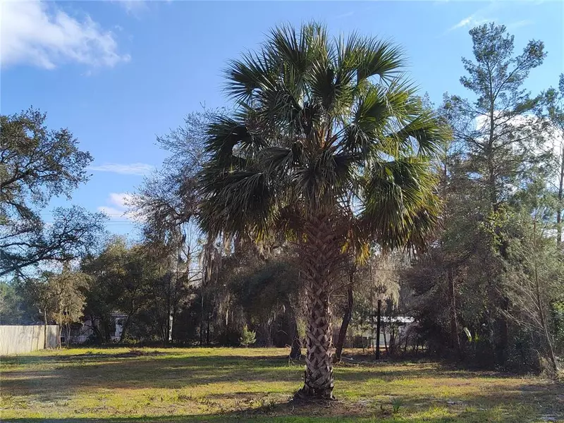 28938 COUNTY ROAD 42, Paisley, FL 32767