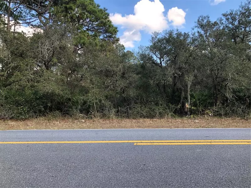LOT 2 ROYAL TRAIL RD, Eustis, FL 32736