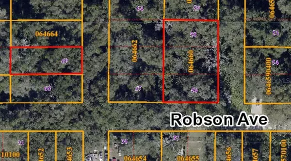 Seffner, FL 33584,ROBSON AVE