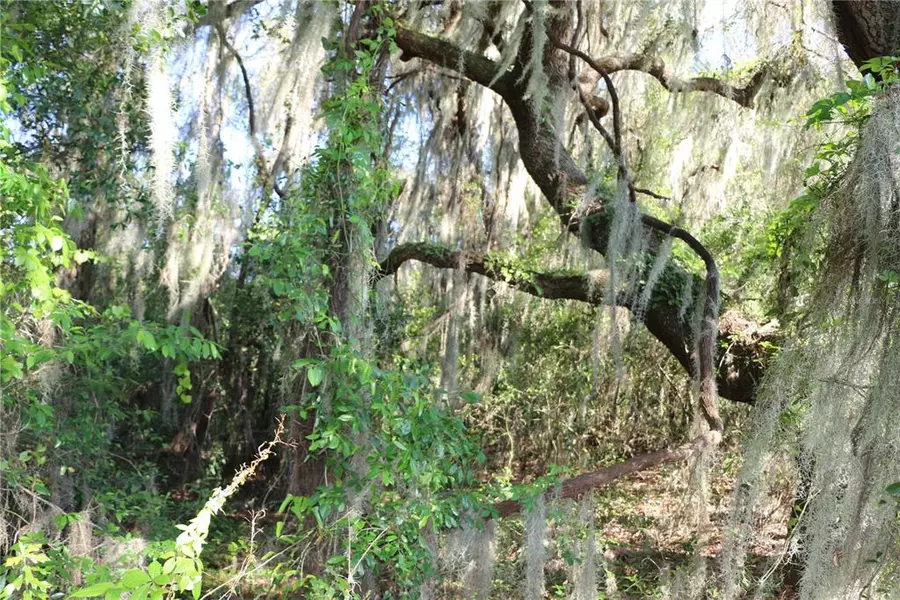 TBD CR 470, Lake Panasoffkee, FL 33538