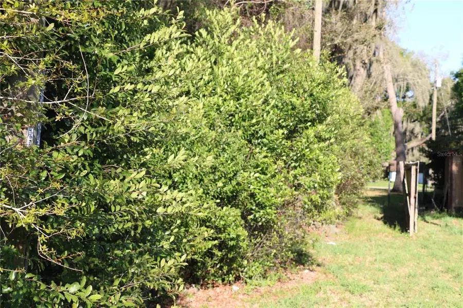 CR 470, Lake Panasoffkee, FL 33538