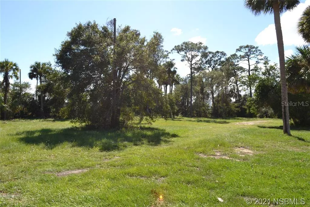 Edgewater, FL 32132,206 S RIDGEWOOD AVE