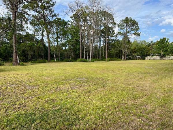 576 HARNEY HEIGHTS RD, Geneva, FL 32732