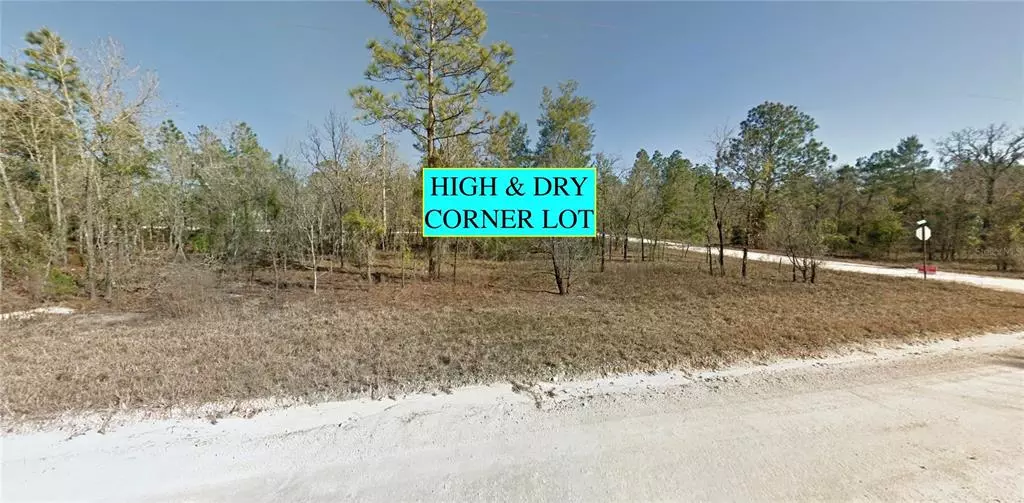 805 NE 130TH AVE, Williston, FL 32696