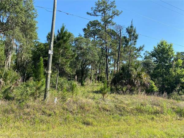 31211 LAKE MACK RD, Deland, FL 32720