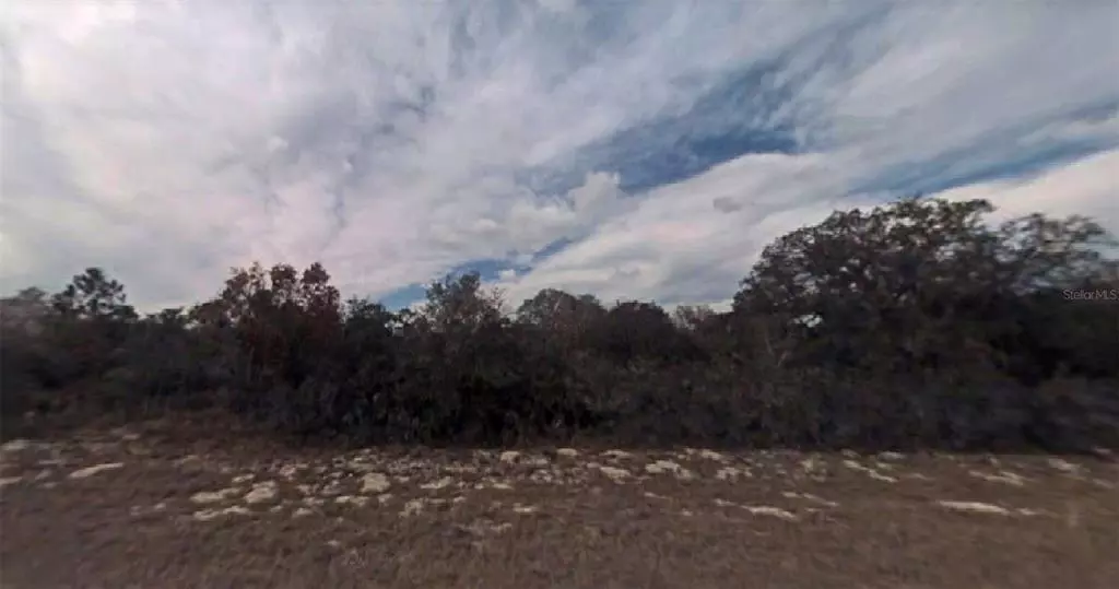 FISHER TERRACE RUN, Ocklawaha, FL 32179