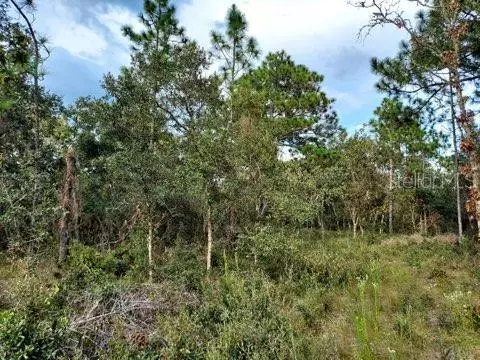 Dunnellon, FL 34431,SW IVY PL