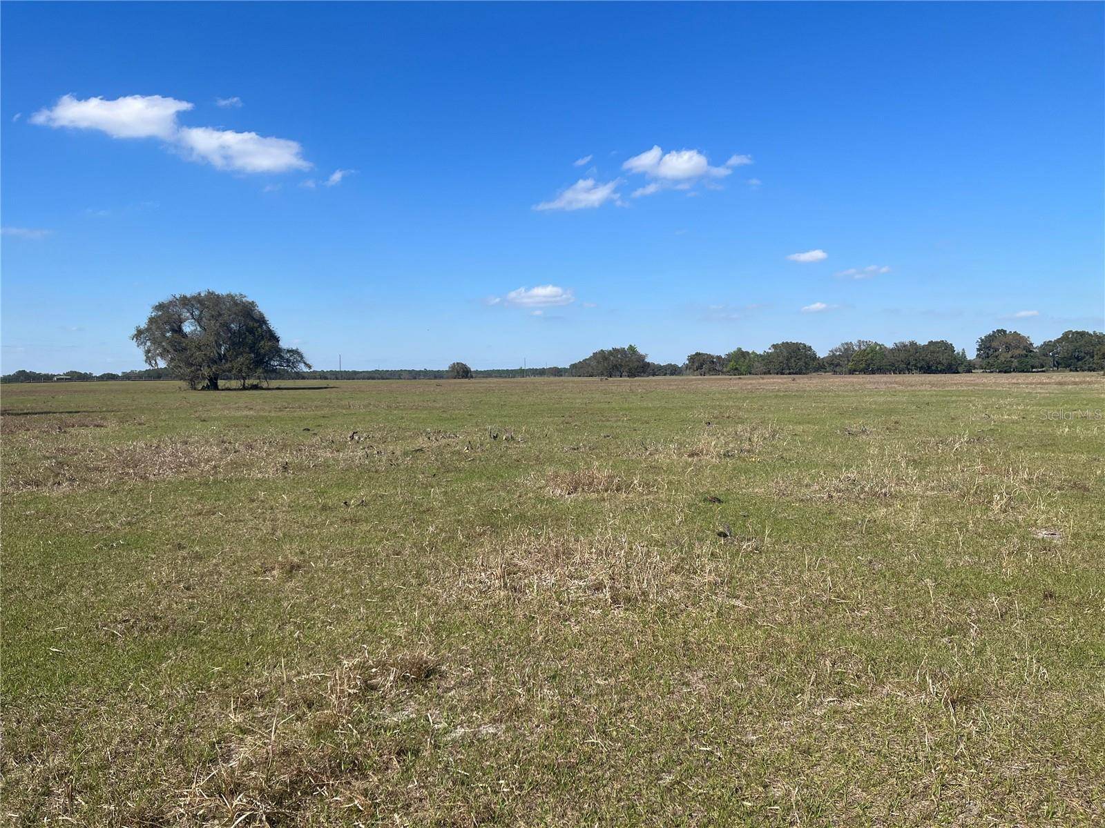 FAIR ST, Astatula, FL 34705