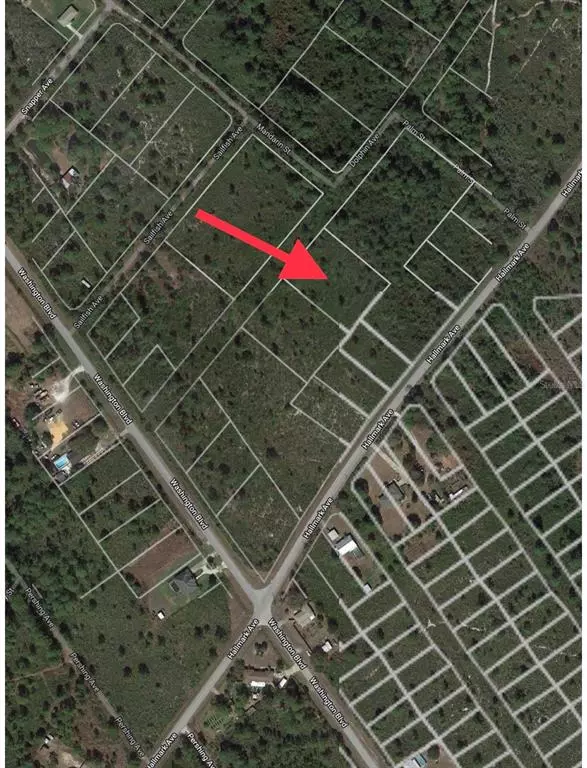 Lake Placid, FL 33852,707 DOLPHIN AVE