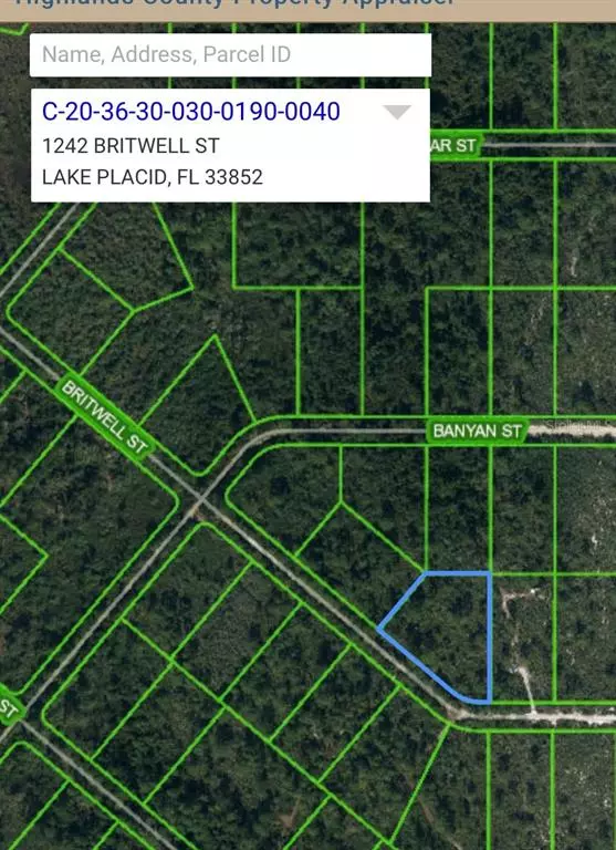 Lake Placid, FL 33852,1242 BRITWELL ST