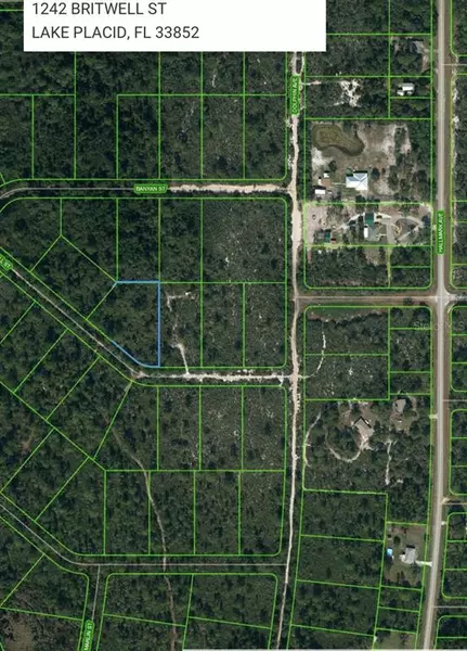 1242 BRITWELL ST, Lake Placid, FL 33852