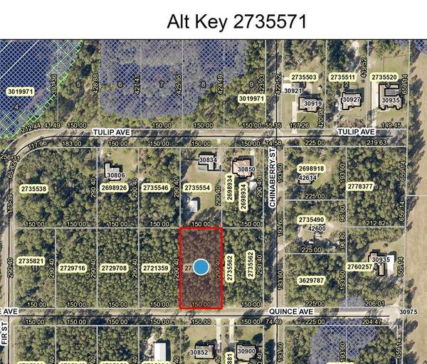 Lot 7 QUINCE AVE, Eustis, FL 32736