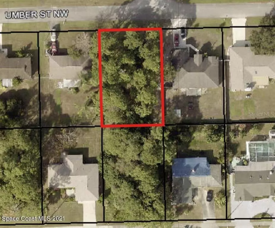 Palm Bay, FL 32907,250 UMBER ST NW