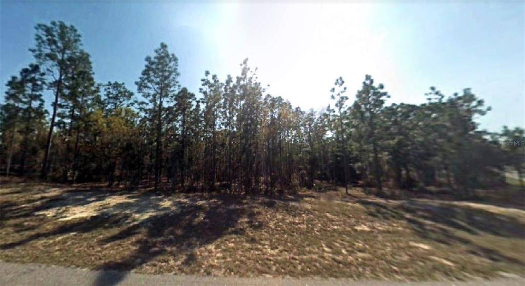 5324 N TEE PEE DR, Beverly Hills, FL 34465