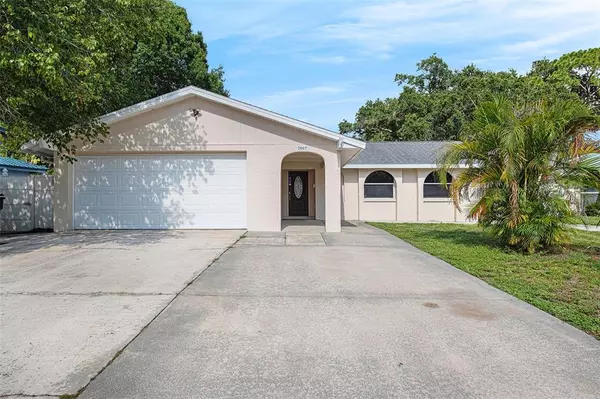 7007 HAZELWOOD CT,  Tampa,  FL 33615