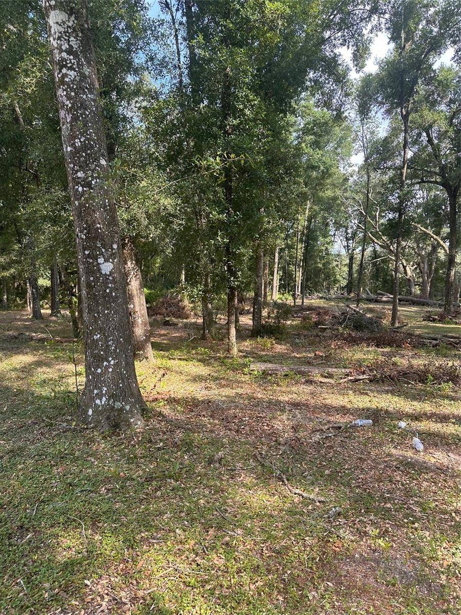 TBD SW 111TH LN, Dunnellon, FL 34432