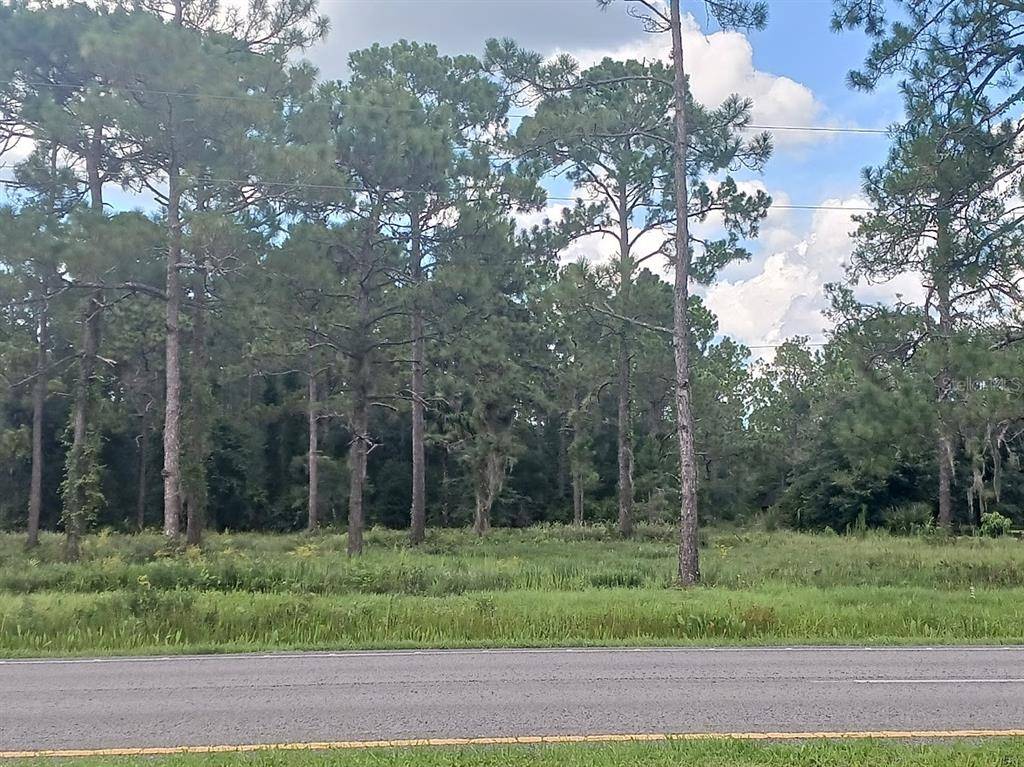 E COLONIAL DR, Christmas, FL 32709
