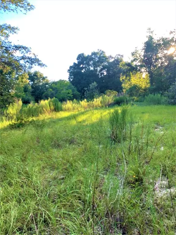 Yalaha, FL 34797,TBD BLOOMFIELD AVE #Parcel 4