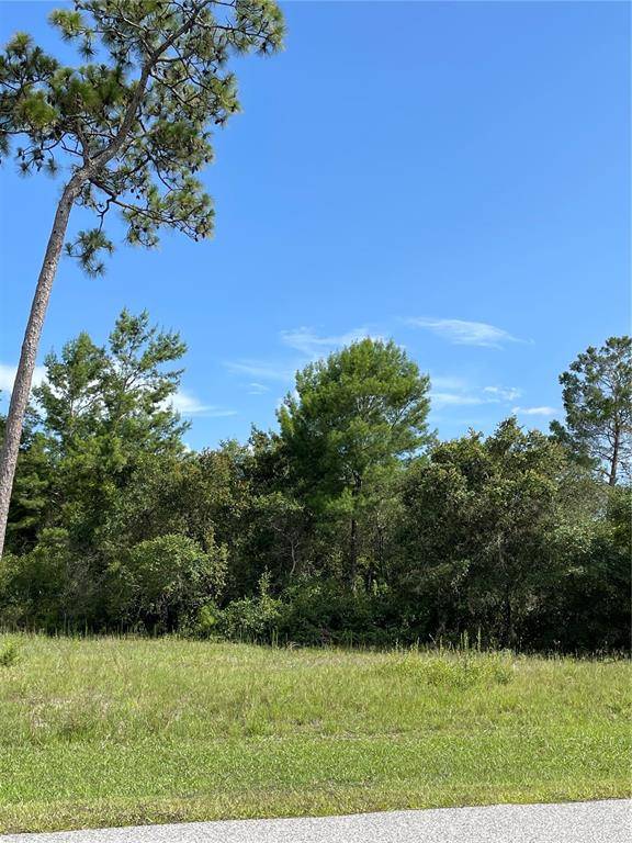 ROYAL TRAIL RD, Eustis, FL 32736