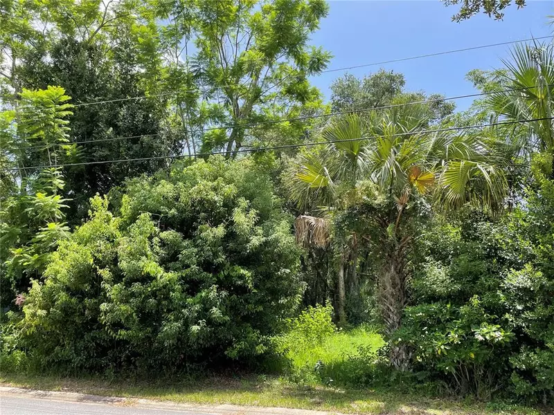 PINE AVE, Mount Dora, FL 32757