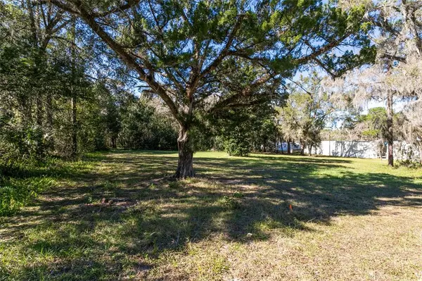 ROCK SPRINGS RD, Apopka, FL 32712