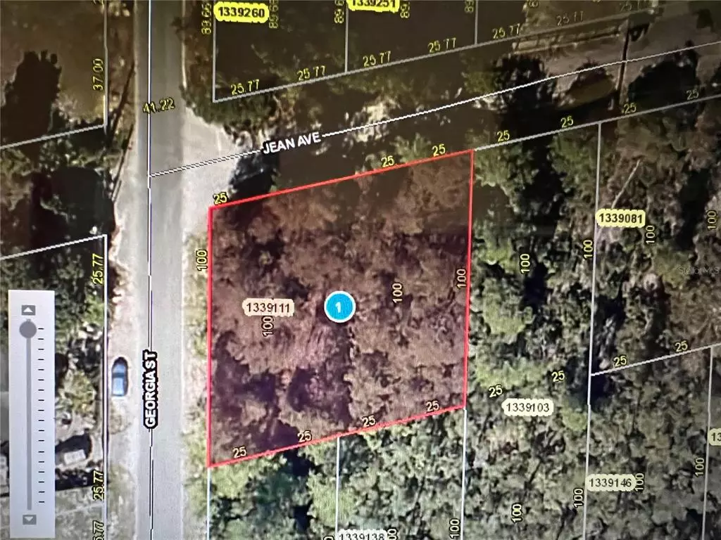 Paisley, FL 32767,JEAN AVE