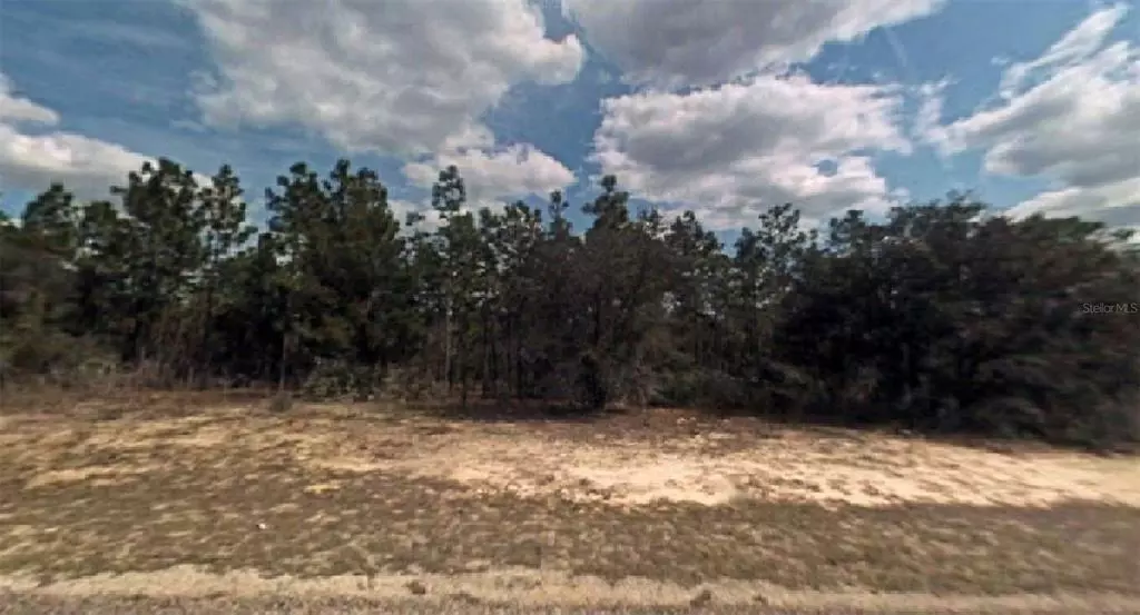 Citrus Springs, FL 34433,9259 N SATINWOOD TER