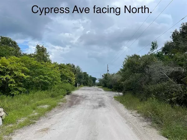 Orange City, FL 32763,610 CYPRESS AVE