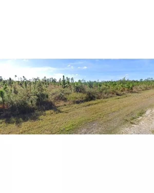 Indian Lake Estates, FL 33855,207 ALBA DR