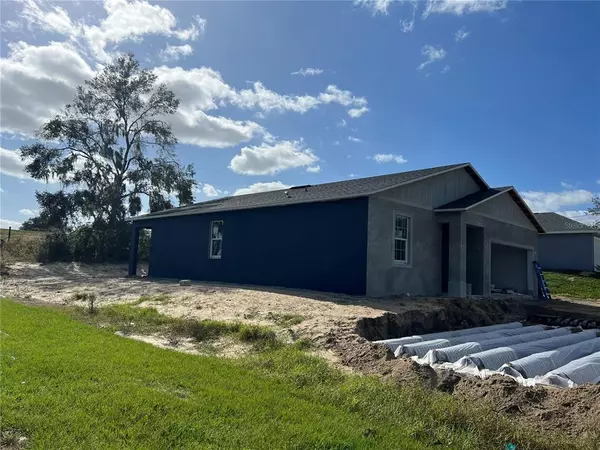 290 MALAUKA LOOP, Ocklawaha, FL 32179