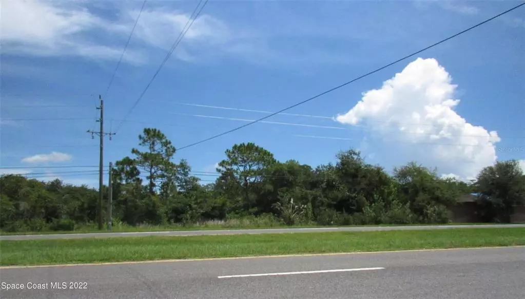 Mims, FL 32754,US HIGHWAY 1