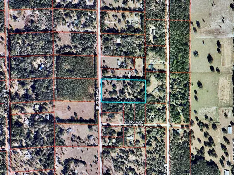 6671 NE 131ST AVE, Williston, FL 32696