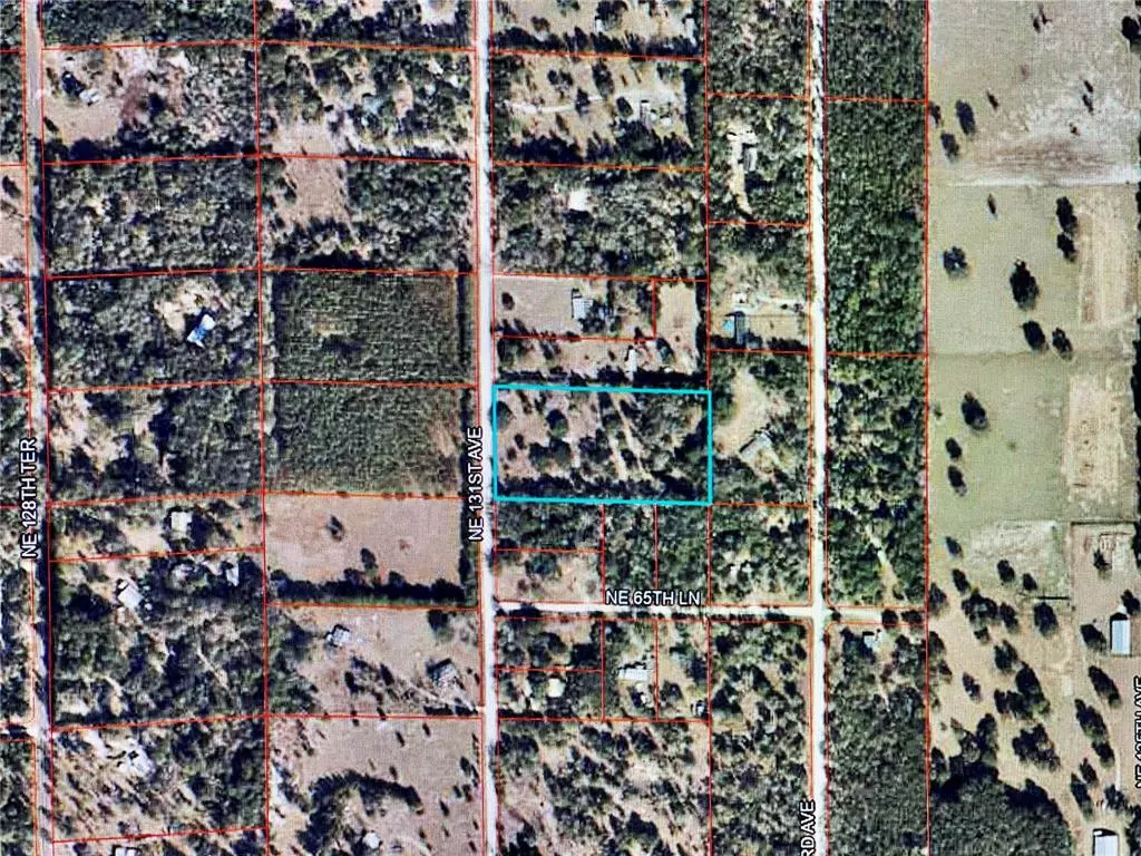 Williston, FL 32696,6671 NE 131ST AVE