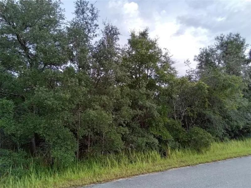 0 OAK CIRCLE PASS, Ocala, FL 34472