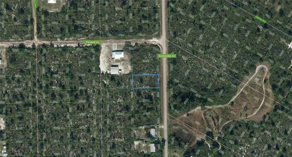 Lake Placid, FL 33852,1076 BRECKINRIDGE AVE